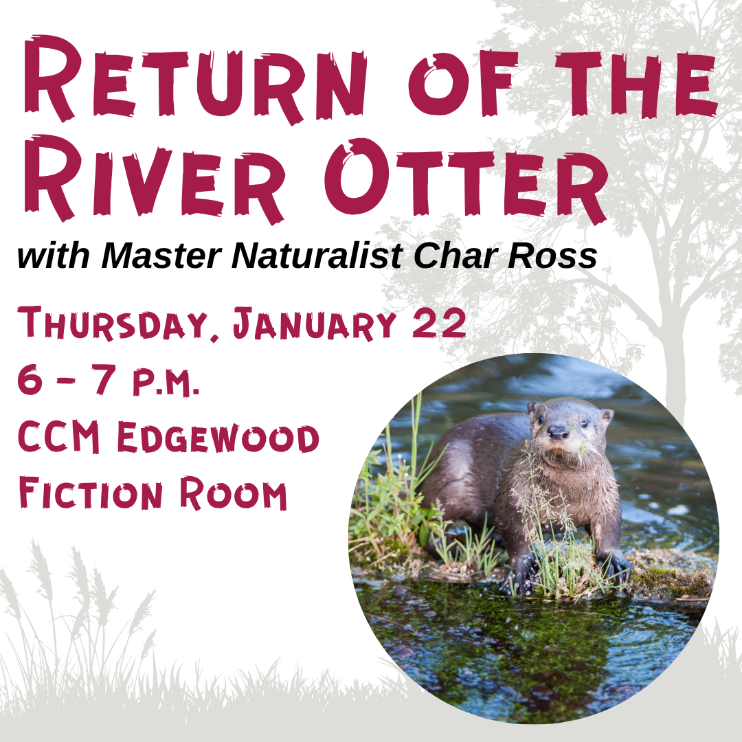 Return of the River Otter
