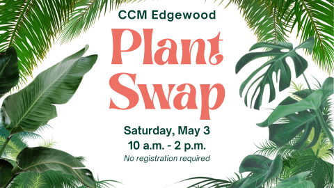 Plant Swap