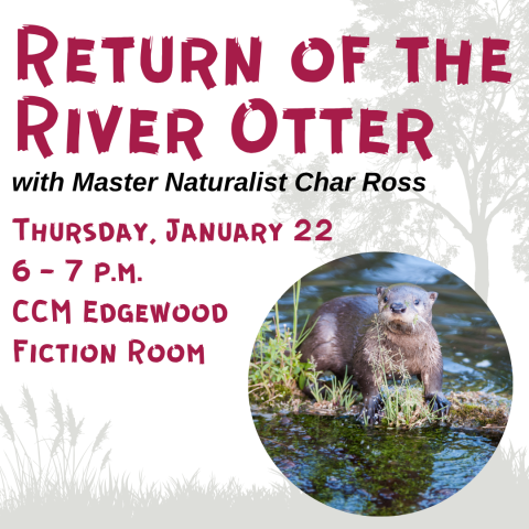 Return of the River Otter