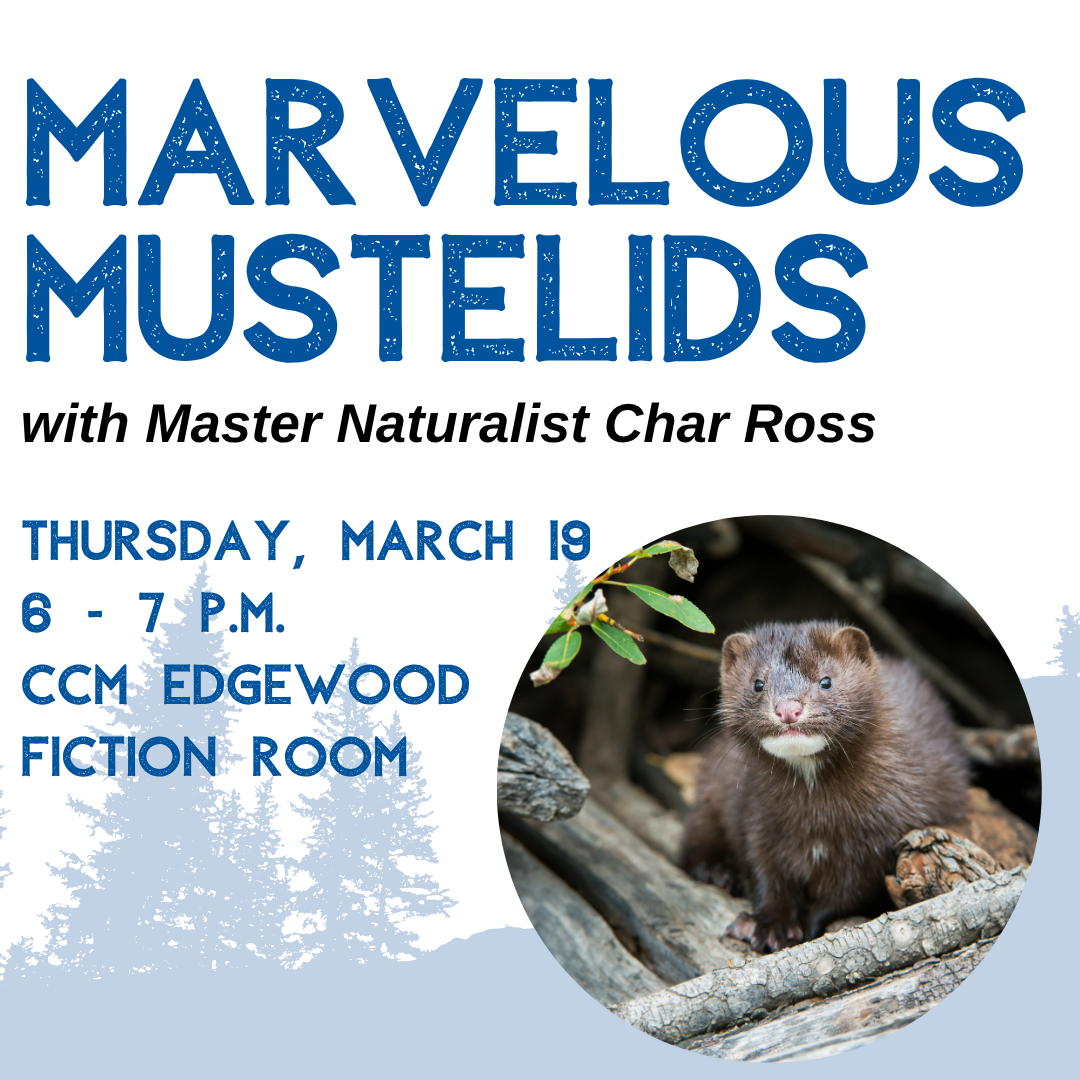 Marvelous Mustelids